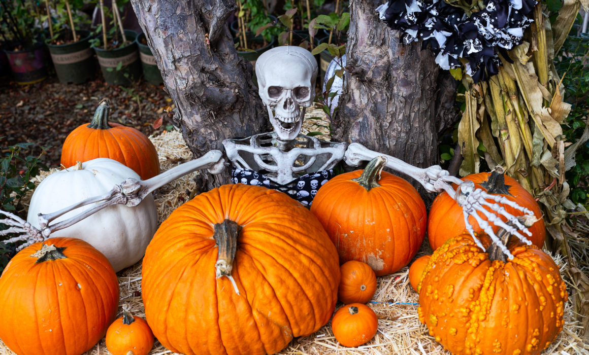 Halloween decorations