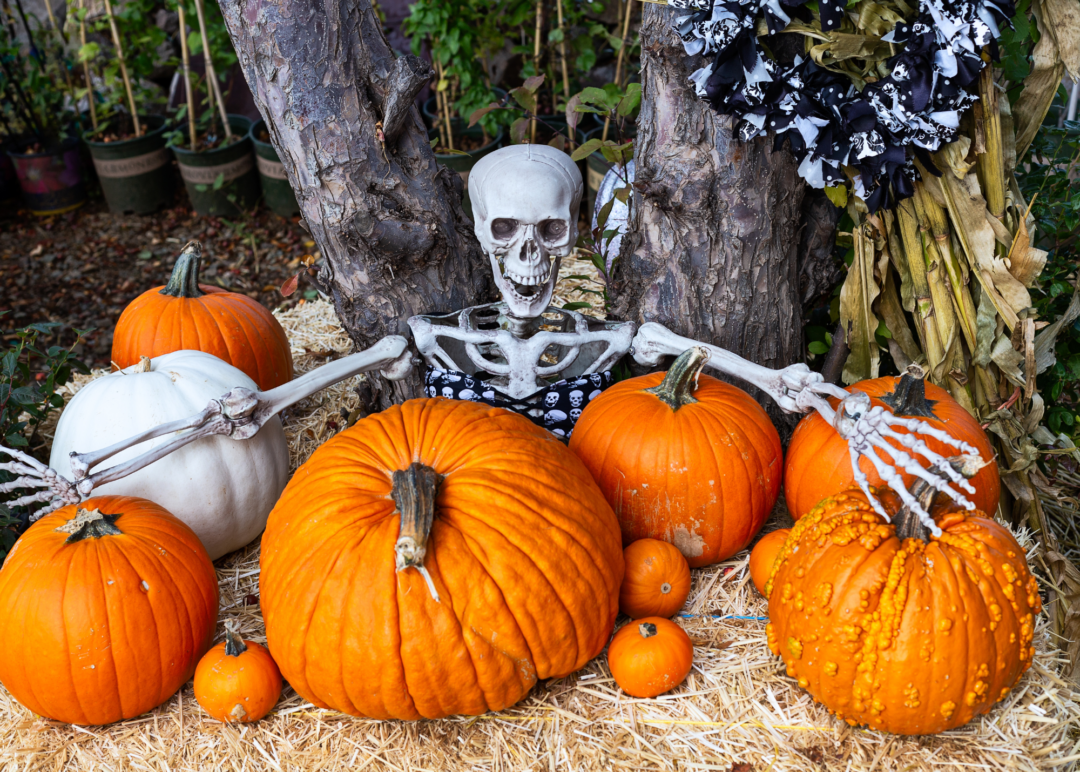 Holiday Decoration Policy Mulcahy Law Firm